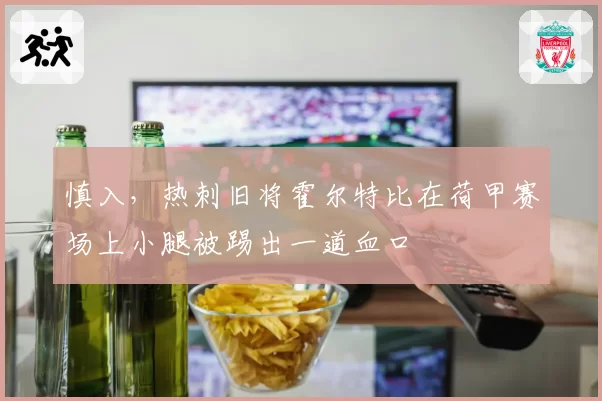 慎入，热刺旧将霍尔特比在荷甲赛场上小腿被踢出一道血口