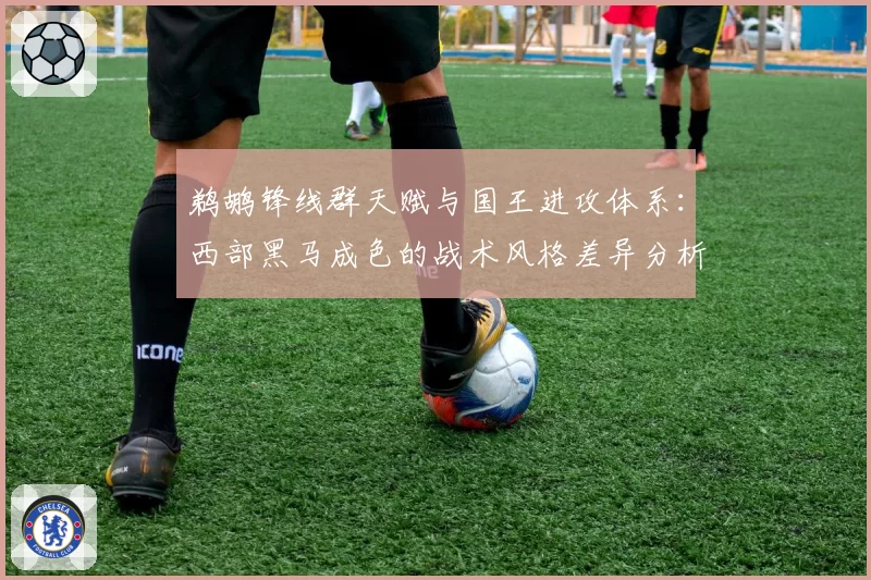 鹈鹕锋线群天赋与国王进攻体系:西部黑马成色的战术风格差异分析