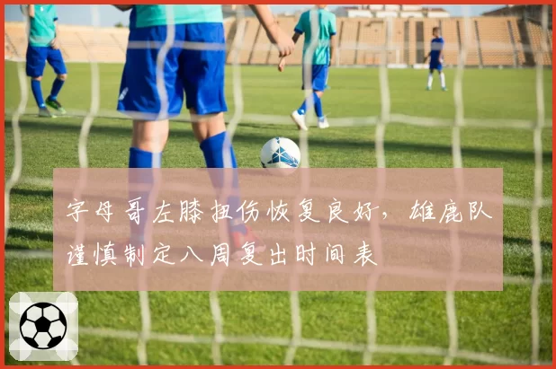 字母哥左膝扭伤恢复良好，雄鹿队谨慎制定八周复出时间表