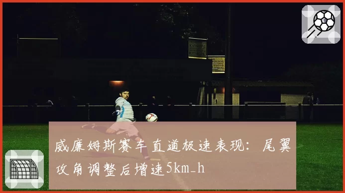 威廉姆斯赛车直道极速表现:尾翼攻角调整后增速5km_h