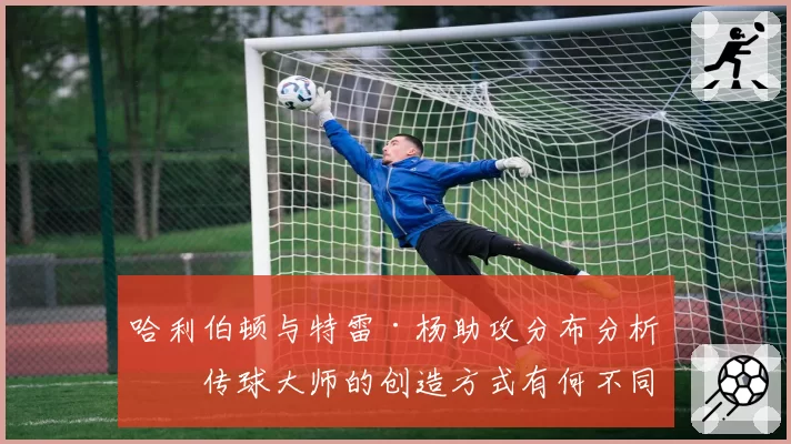 哈利伯顿与特雷·杨助攻分布分析：传球大师的创造方式有何不同