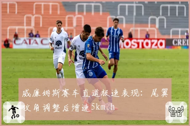 威廉姆斯赛车直道极速表现:尾翼攻角调整后增速5km_h