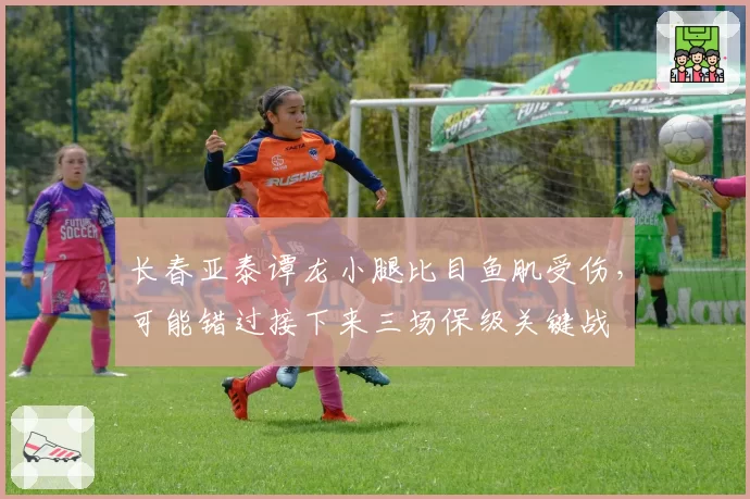 长春亚泰谭龙小腿比目鱼肌受伤，可能错过接下来三场保级关键战